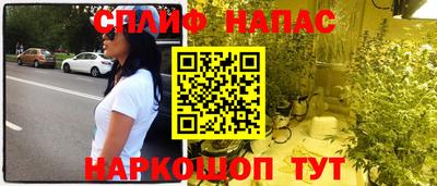 индика Будённовск
